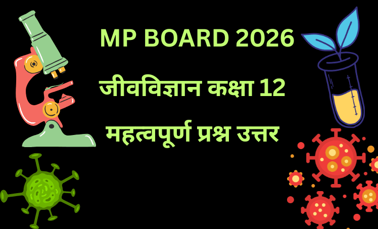 MP BOARD 2026