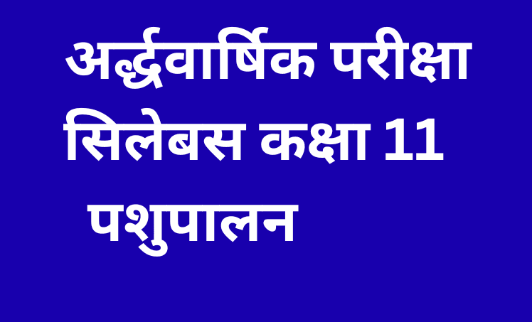 अर्द्धवार्षिक परीक्षा