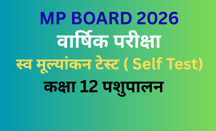 Objective Type Self Test